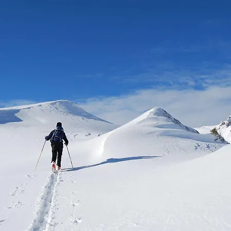 Atelier Garni Astei 3* Grossarl