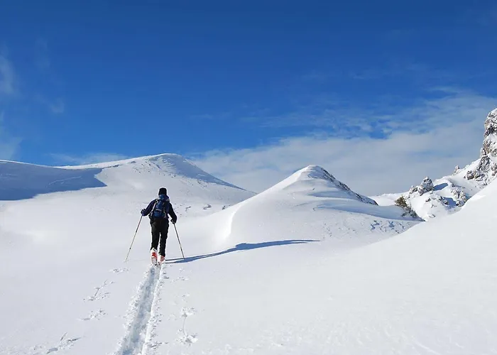 Atelier Garni Astei 3* Grossarl